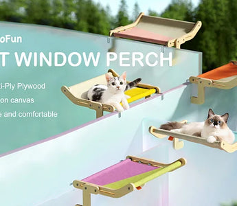 Is Your Cat Bored? Get Them a Window Hammock!