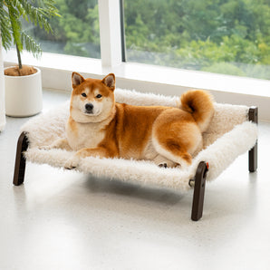 Haven Elevated Calming Cat & Dog Bed Pro