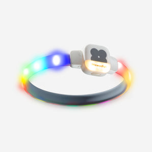 Vivid LED Collar