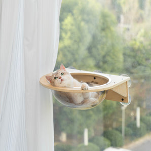 Steinway Cat Window Capsule Hammock