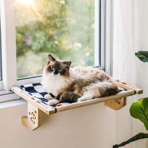 Attachable Cat Perch for Window Sill and Bedside