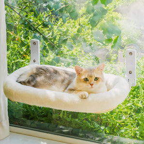 Macaron Foldable Cat Window Perch Pro