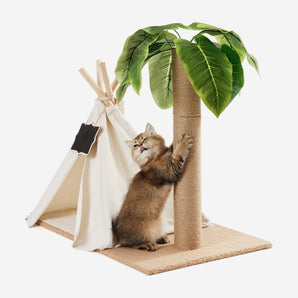 Cat Teepee Bed with Scratching Post