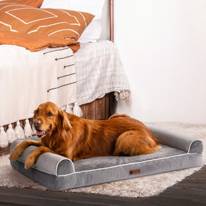 Essential Orthopedic Dog Bed